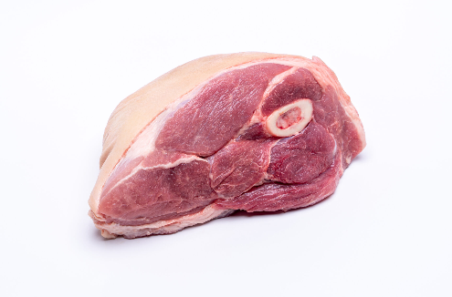 {{brizy_dc_image_alt imageSrc=